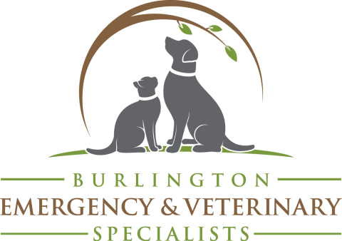 Burlington Emergency & Veterinary Specialists Logo