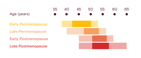 Age ranges for each stage of menopause, showing the 5th through 95th percentile overall, with emphasis on the 25th-75th percentiles. (Graphic: Business Wire)