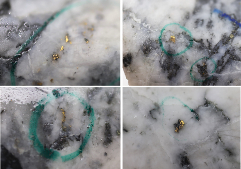 Figure 1: Photos of mineralization from Top Left: at ~35.2m in NFGC-23-1088, Top Right: at ~78.8m in NFGC-23-1517, Bottom Left: at ~46.7m in NFGC-23-1586, Bottom Right: at ~52.8m in NFGC-23-1599. ^Note that these photos are not intended to be representative of gold mineralization in NFGC-23-1088, NFGC-23-1517, NFGC-23-1586 and NFGC-23-1599. (Graphic: Business Wire)