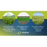 Intelinair Selected as Partner for USDA Climate-Smart Commodities Grant
