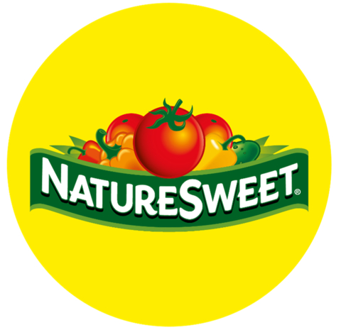 NS Brands, Ltd. Logo