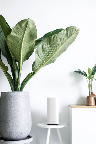 White WiFi tower node standing on a small white bench between a large plant and a small plant on a cabinet against a white while. (Photo: Business Wire)