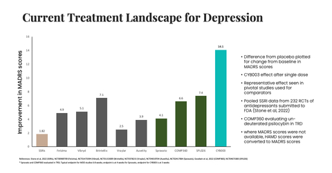 Current Treatment Landscape for Depression (1) (Graphic: Business Wire)