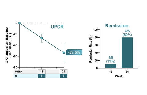 Figure 1. Clinically Meaningful Improvements in Proteinuria, Suggesting Remission (Graphic: Business Wire)