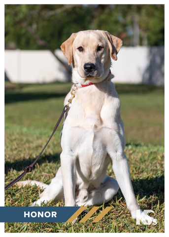 American Water Charitable Foundation's sponsored Service Dog, Honor. (Photo: Business Wire)