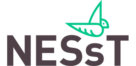 NESsT Logo