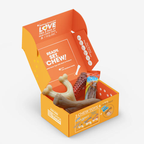 Nylabone Kicks Off Holiday Shopping Season with Gift Box Collections for Dogs. The Box is available for three different dog sizes—puppy, small, and large. (Photo: Business Wire)