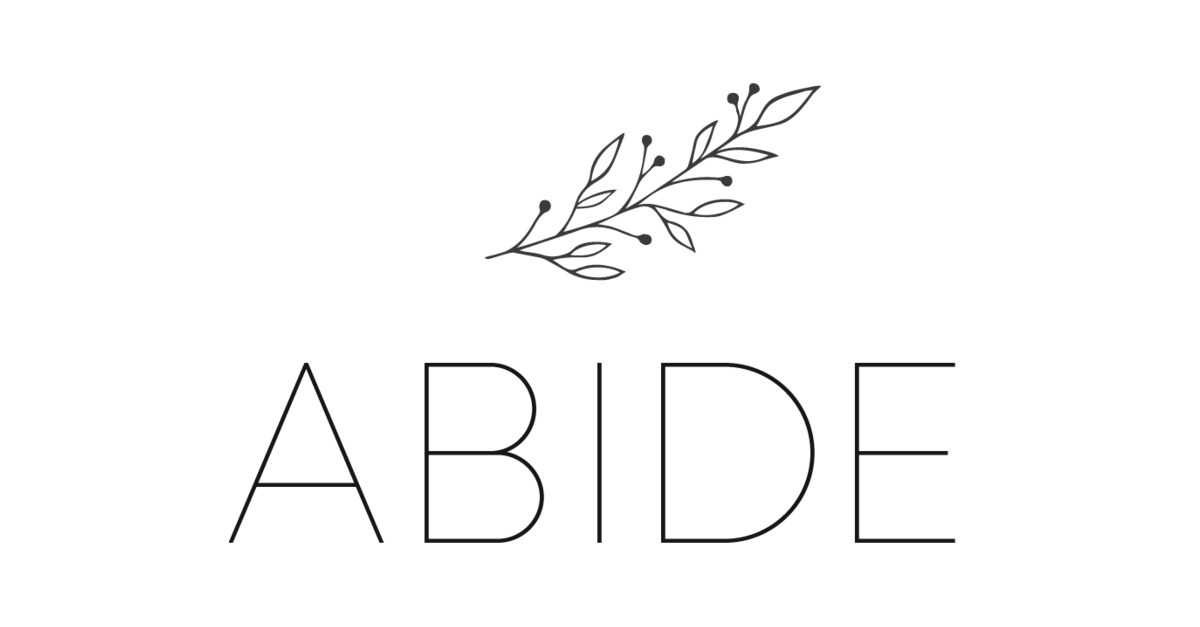 Emerging Manager, Abide Capital Group Secures PlatformLevel Investment