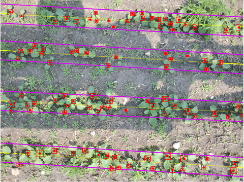 The machine learning model within SWAT CAM analyzes each image and calculates individual plants per acre or per square foot, as well as the average measurements of plant spacing. The tool is available for corn, soybean, canola, and potatoes. (Photo: Business Wire)