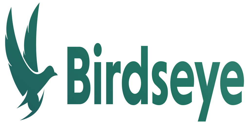 Birdseye Raises $3M in Seed Funding to Revolutionize How Brands and  Retailers Target Customers