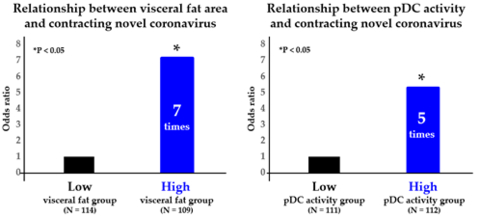 圖2：內臟脂肪面積/pDC活性與感染新型冠狀病毒的關係（圖片：美國商業資訊）