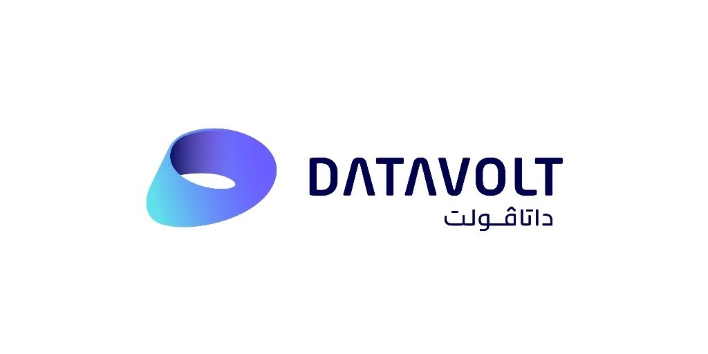 DataVolt Logo