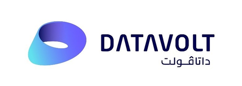 DataVolt Logo