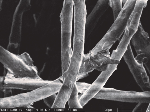 Scanning Electron Microscopic A view of fibers before digital scouring with MLSE technology Photo exclusive property of MTIX, Ltd. All rights reserved @2023 www.mti-x.com