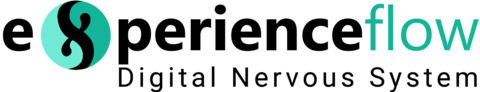 ExperienceFlow.AI Logo