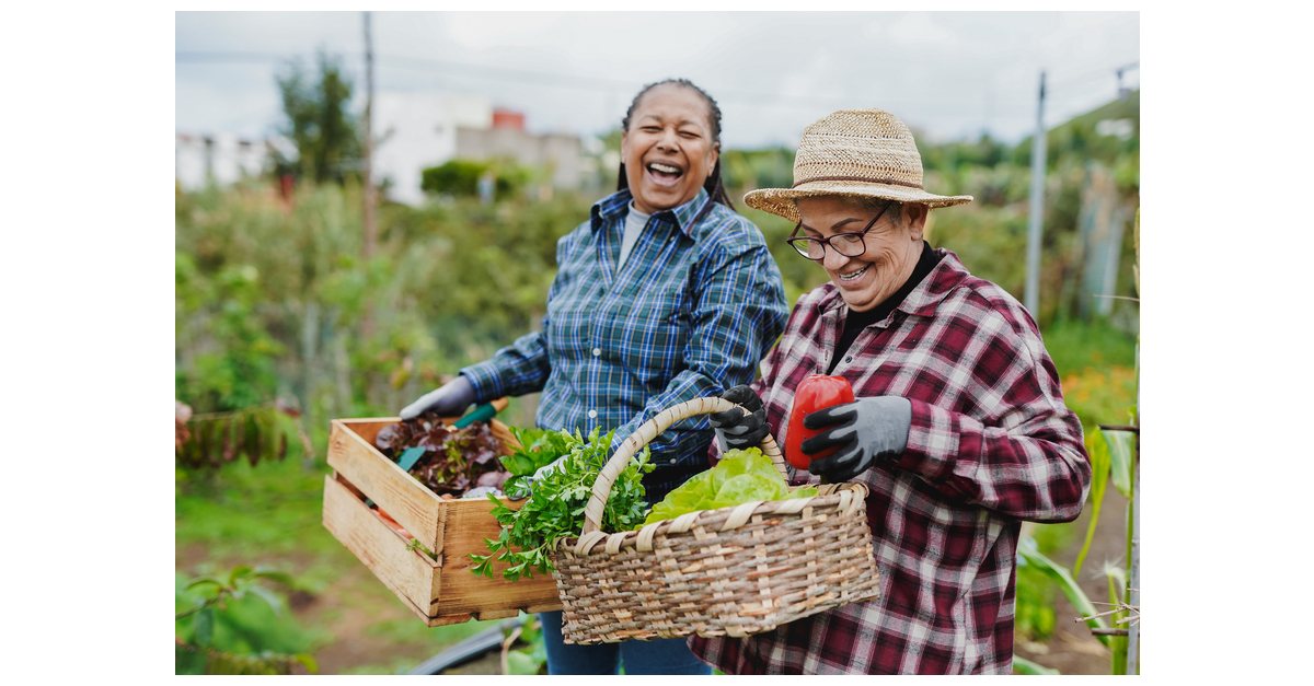 Humana Foundation Awards Health Equity Research Grants Equal to $1