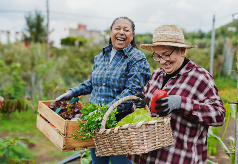 High Five for Health — Foundation for a Healthy KY