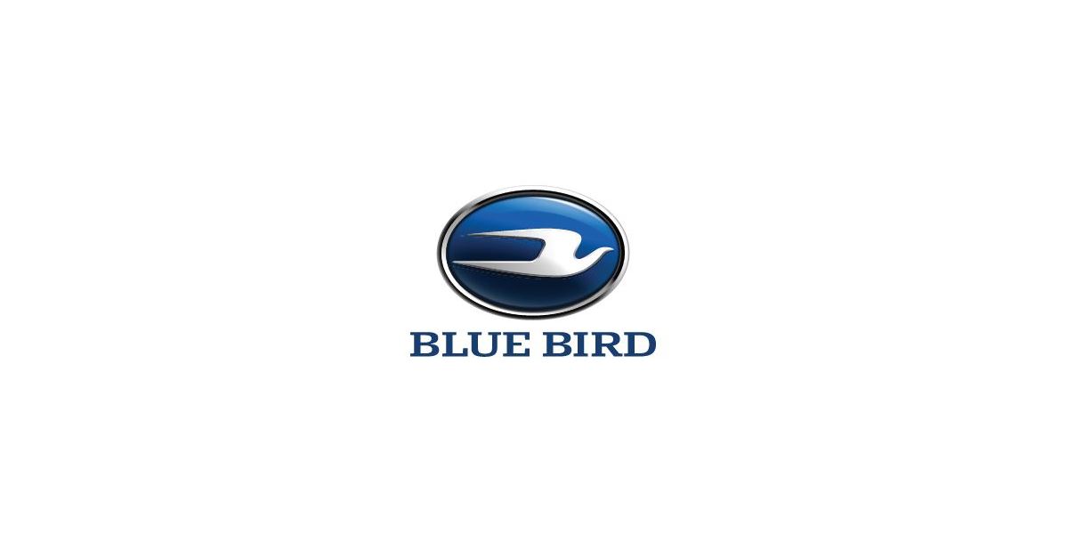 Aspirateur Blue Bird EBV280BN en Promotion
