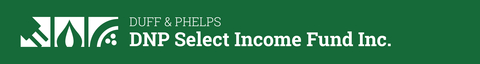 DNP Select Income Fund Inc. Logo