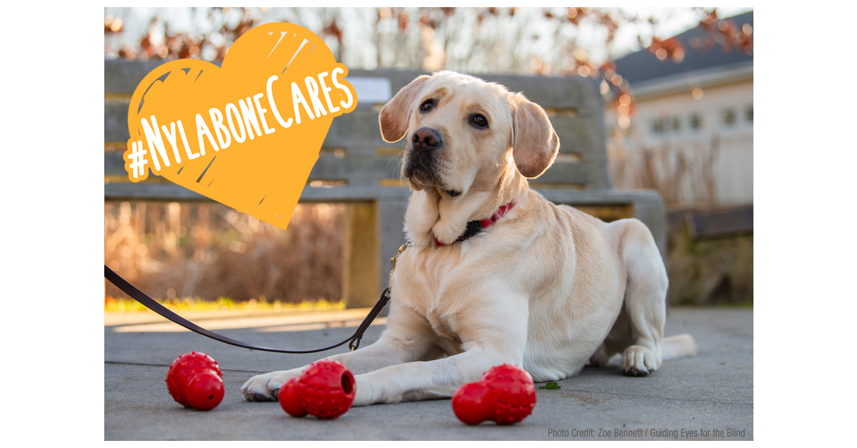 Nylabone Cares  Donating to Dog Shelters