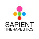 Sapient Linkedin Logo