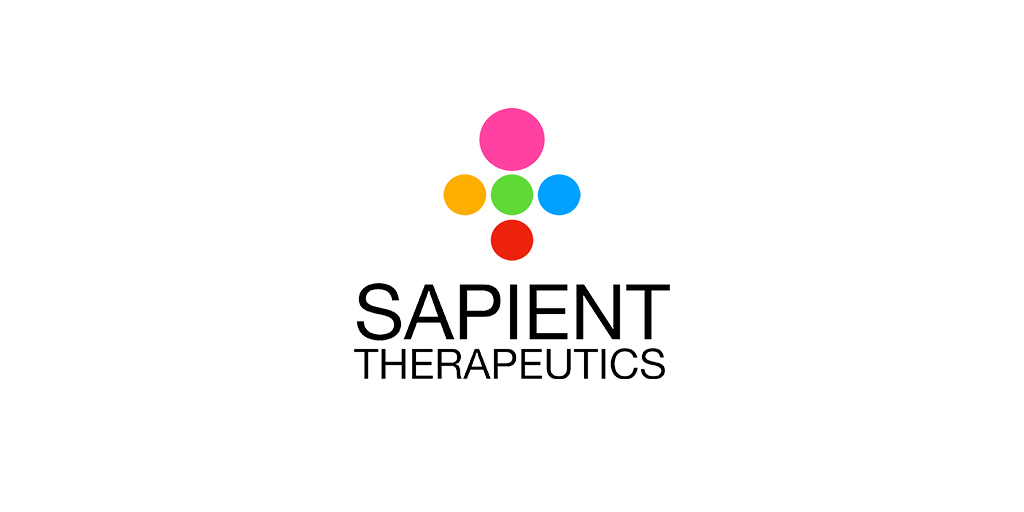 Sapient Linkedin Logo