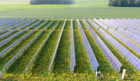 Community sun farms bring renewable energy to local households and businesses. (Photo: Business Wire)