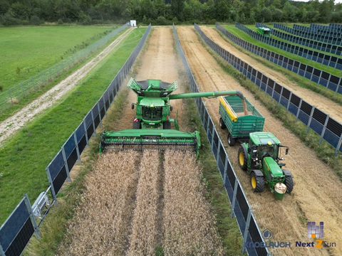 Picture 1: Wheat harvest at the Next2Sun solar park Donaueschingen-Aasen, Germany (Source: Knoblauch GmbH)