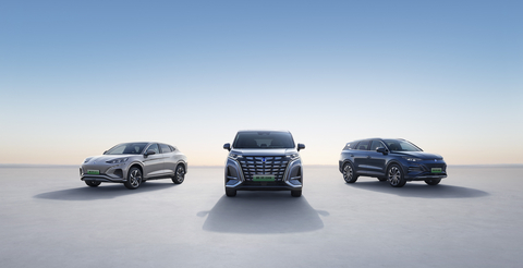 original DENZA product matrix. (Photo: Business Wire)