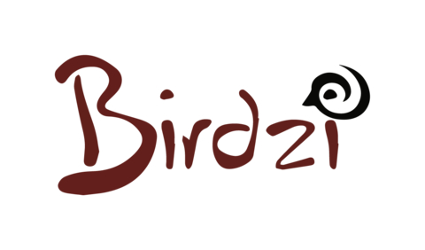 Birdzi Logo