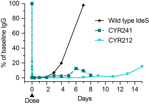 Figure shows IgG levels after WT IdeS in diamonds and Cyrus’ candidates in squares and triangles. (Graphic: Business Wire)