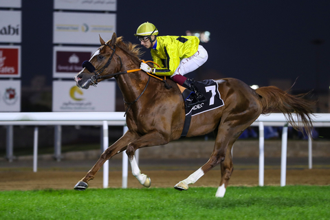 original The prize pool for The UAE President's Cup for Purebred Arabian Horses has been increased to AED 4.5 million (Photo: AETOSWire)