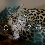 サウジアラビアのメディア省、Netflixで王国の野生動物に関するHorizonドキュメンタリーを開始