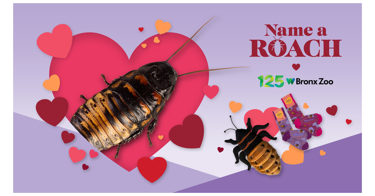 Flowers — Celebrate Valentine's Day with ‘NameaRoach’ from the Bronx Zoo Business Wire