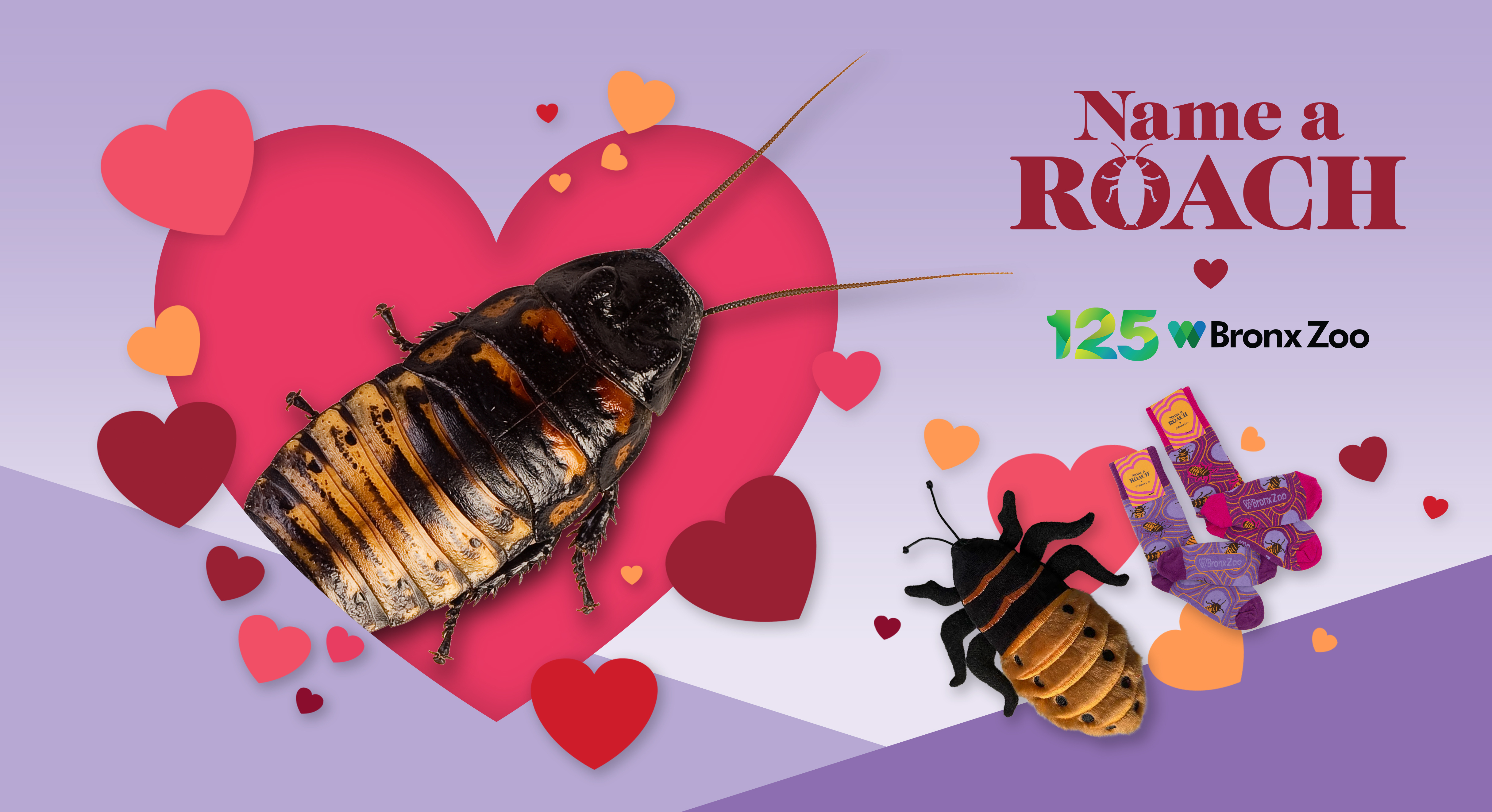 US zoos are offering cockroach naming services for Valentine's Day. There's  more - India Today