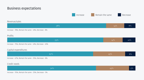 thumbnail Business expectations for German leaders in the year ahead (Graphic: Business Wire)