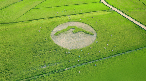 E.SUN FHC registers as TNFD Early Adopters. The picture shows E.SUN Maravi, an organic farming in Taiwan. (Photo: Business Wire)