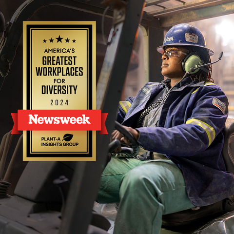 U. S. Steel Recognized as One of America’s Greatest Workplaces for Diversity by Newsweek and Plant-A Insights (Graphic: Business Wire)