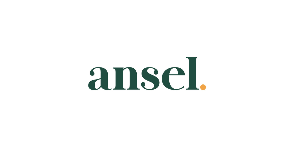 Ansel Raises $20M to Bring Simpler, Supplemental Insurance to Americans Nationwide thumbnail