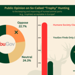 Una nueva encuesta revela la opinión de los europeos sobre la caza de trofeos