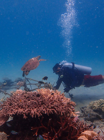 Local divers bring technology and sustainability together to rescue the world's precious coral reefs. (Photo credit: Orange Business)