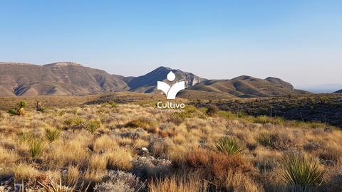 Cultivo project in Sierra del Carmen, in the state of Coahuila, Mexico (Photo: Business Wire)