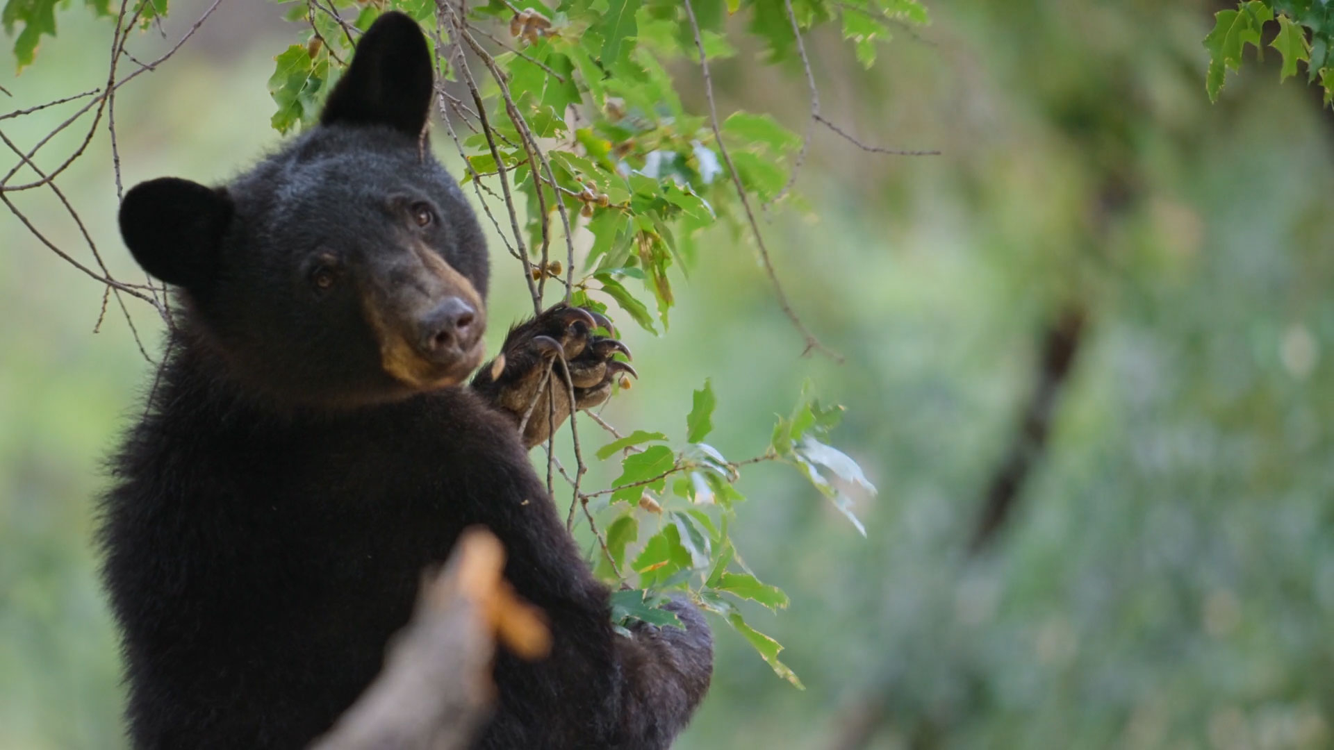 The Nature Conservancy in Texas has protected 1 million acres of land and water in the state