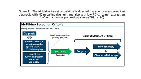 Figure 2: The Multikine target population is directed to patients who present at diagnosis with N0 nodal involvement and also with low PD-L1 tumor expression (defined as tumor proportions score (TPS) 10) (Photo: Business Wire)