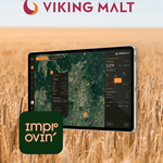 VikingMalt Improvin'OK
