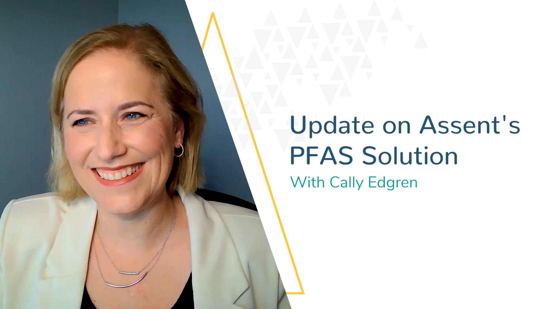 thumbnail Assent PFAS Solution Now Surveys Against More than 7,000 Substances, Enabling Manufacturers to Meet New Supply Chain Requirements