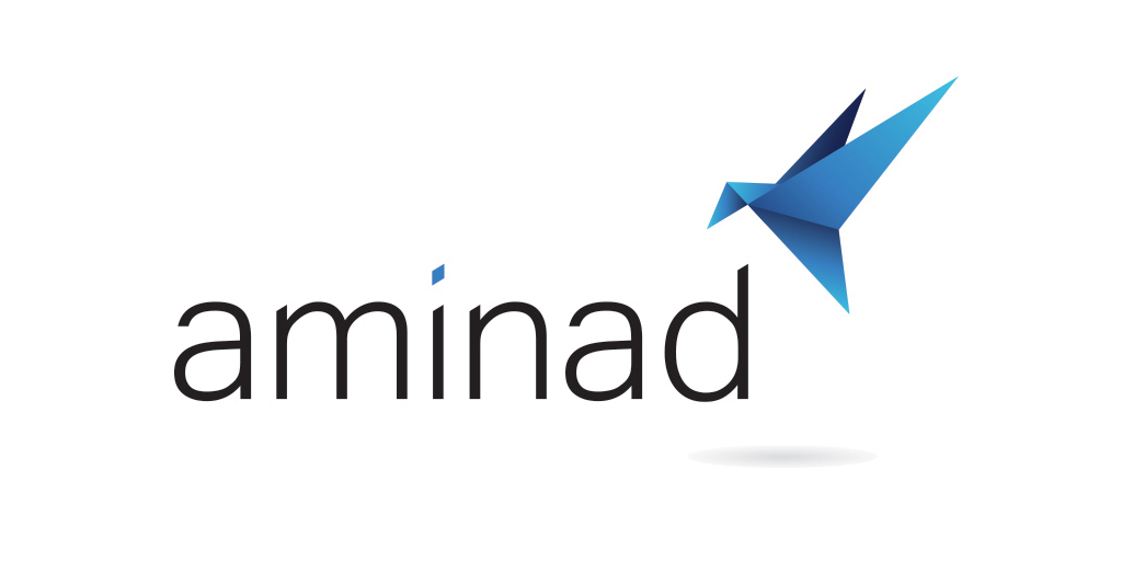 Aminad Consulting Earns Six 1 Rankings on Vault’s 2025 Best Consulting