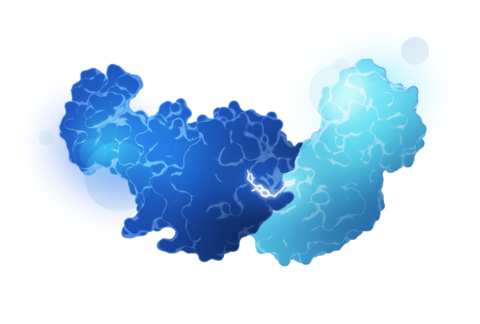 Illustration of molecular glue inducing interaction between two proteins (Graphic: Business Wire)