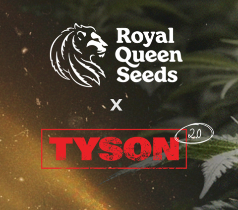 Royal Queen Seeds Logo