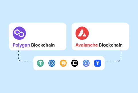 B2BinPay adds Polygon and Avalanche to its available blockchains so that users can transact stablecoins like USDT, USDC, DAI, FRAX, TUSD, and EUROC on these networks and enjoy minimal fees with fast processing times. (Photo: Business Wire)